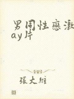 男同性恋激情gay片封面