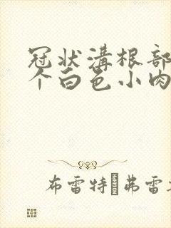 冠状沟根部长了个白色小肉粒