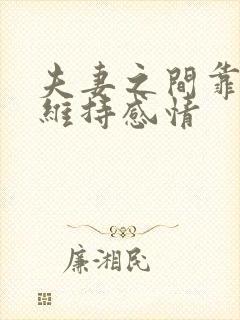 夫妻之间靠什么维持感情