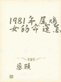 1981年属鸡女的命运怎么样