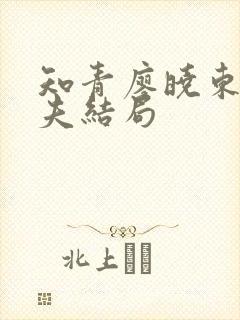 知青廖晓东的丈夫结局