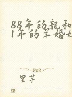 88年的龙和91年的羊婚姻怎么样?