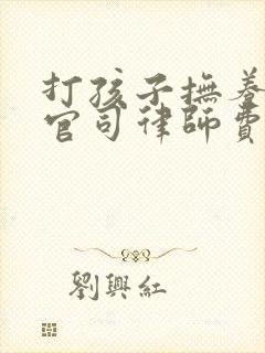 打孩子抚养权的官司律师费需要多少钱