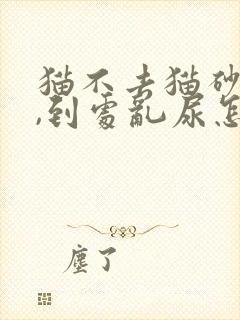 猫不去猫砂盆尿,到处乱尿怎么解决