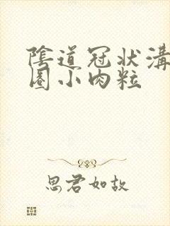 阴道冠状沟有一圈小肉粒