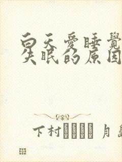 白天爱睡觉晚上失眠的原因封面