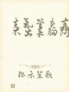 支气管炎有痰咳不出来胸闷吃什么药