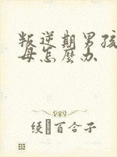 叛逆期男孩骂父母怎么办