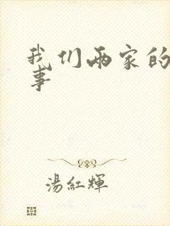 我们两家的荒唐事封面