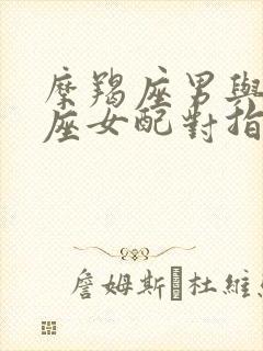 摩羯座男与金牛座女配对指数