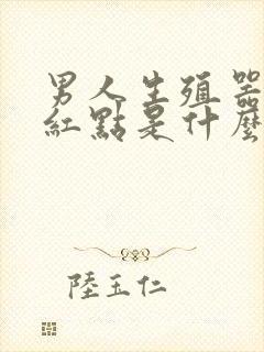 男人生殖器上长红点是什么原因封面