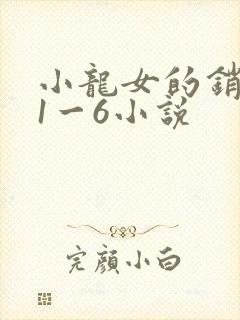 小龙女的销魂夜1一6小说封面