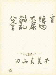 公猫不绝育一定会乱尿吗封面