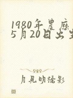 1980年农历5月20日出生的命运