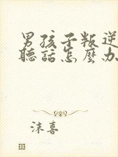 男孩子叛逆期不听话怎么办