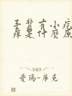 手背有小疙瘩痒痒是什么原因封面