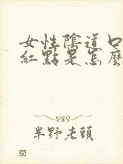 女性阴道口边有红点是怎么回事