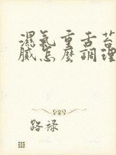 湿气重舌苔黄厚腻怎么调理封面