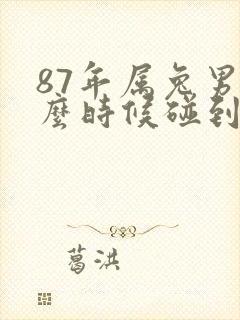 87年属兔男什么时候碰到正缘