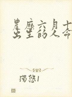 农历六月十九日出生的人命运封面