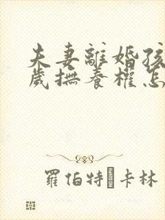 夫妻离婚孩子一岁抚养权怎么判定