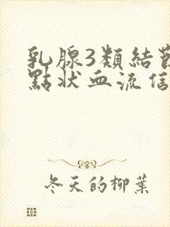 乳腺3类结节有点状血流信号