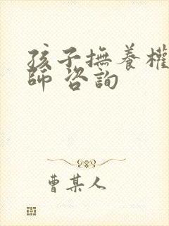 孩子抚养权 律师 咨询