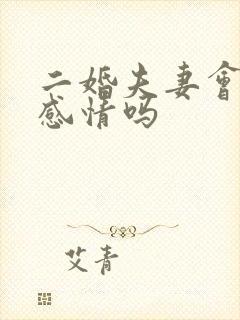 二婚夫妻会有真感情吗