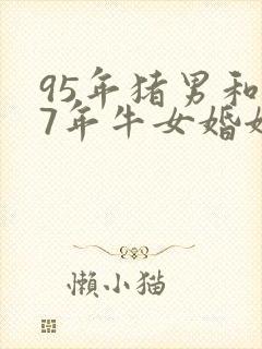 95年猪男和97年牛女婚姻如何封面