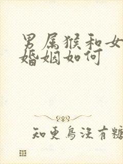 男属猴和女属羊婚姻如何