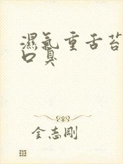 湿气重舌苔黄腻口臭