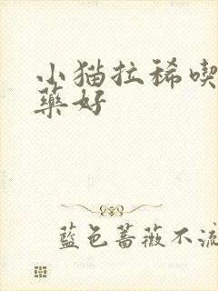 小猫拉稀吃什么药好