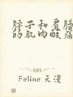 脖子和肩膀之间的肌肉酸痛