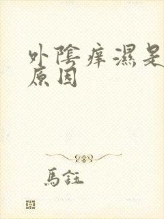 外阴痒湿是什么原因