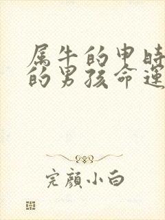 属牛的申时出生的男孩命运