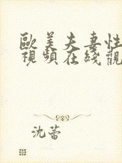 欧美夫妻性生活视频在线观看