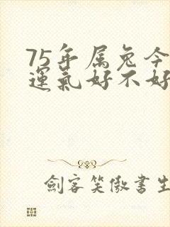 75年属兔今天运气好不好呢