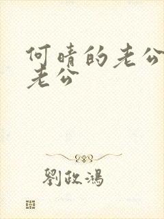 何晴的老公几任老公