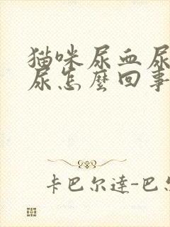 猫咪尿血尿频乱尿怎么回事啊