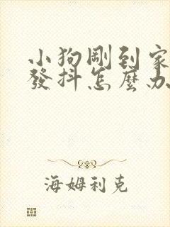 小狗刚到家怕人发抖怎么办封面