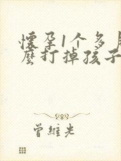 怀孕1个多月怎么打掉孩子封面