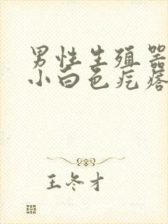 男性生殖器上的小白色疙瘩