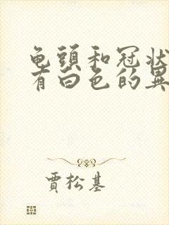 龟头和冠状沟里有白色的异物封面