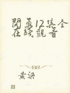 闵勇12集全集在线观看封面