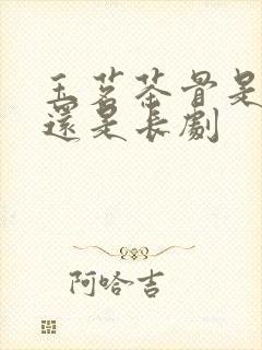 玉茗茶骨是短剧还是长剧