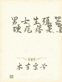 男士生殖器有个 硬疙瘩是怎么回事封面