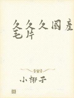 久久久国产精品毛片