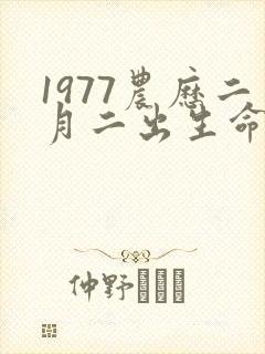 1977农历二月二出生命运