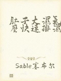 肚子大湿气重怎么快速排湿