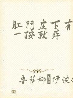 肛门皮下有肿块一按就疼